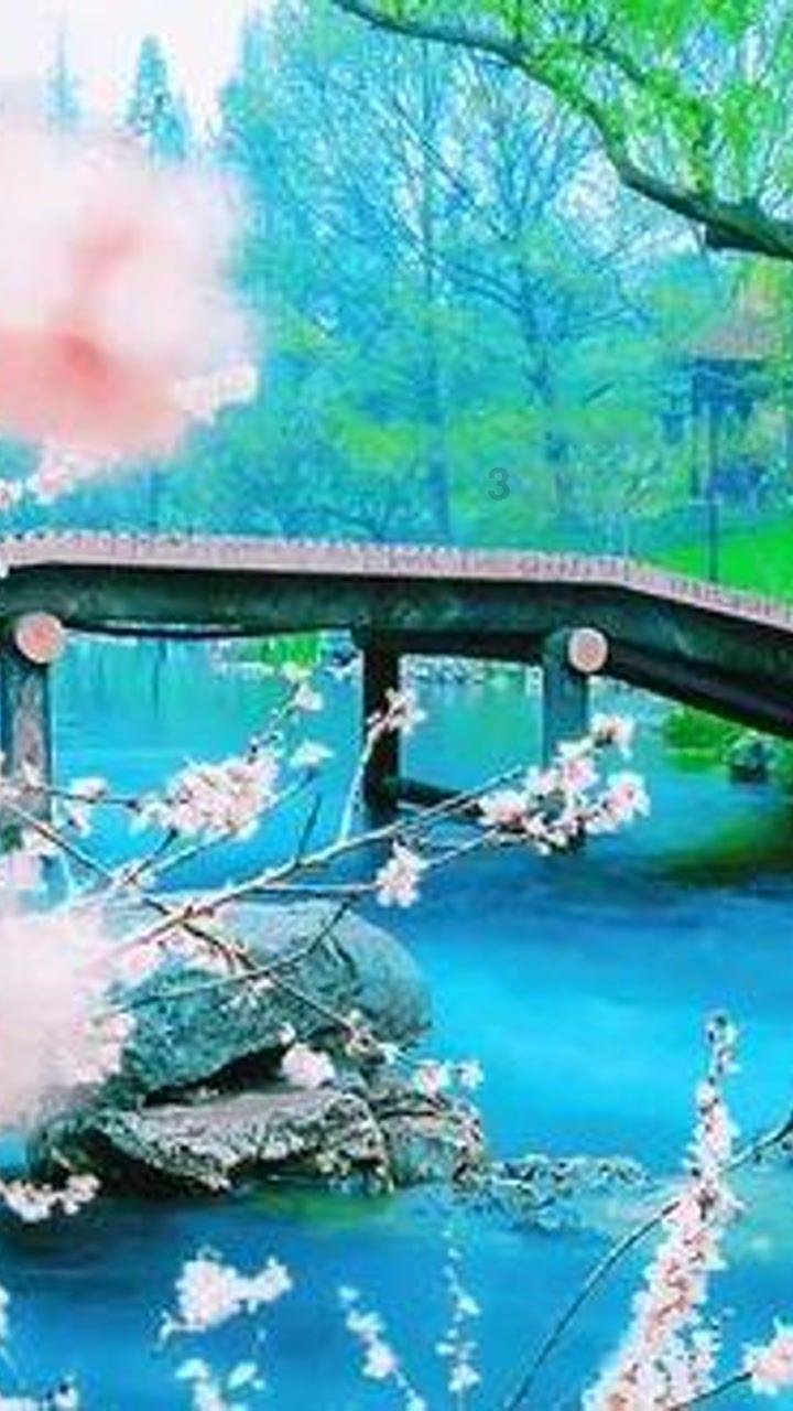 救援爱图画的男孩